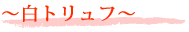 白トリュフ