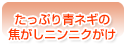 たっぷり青ネギの焦がしニンニクがけ